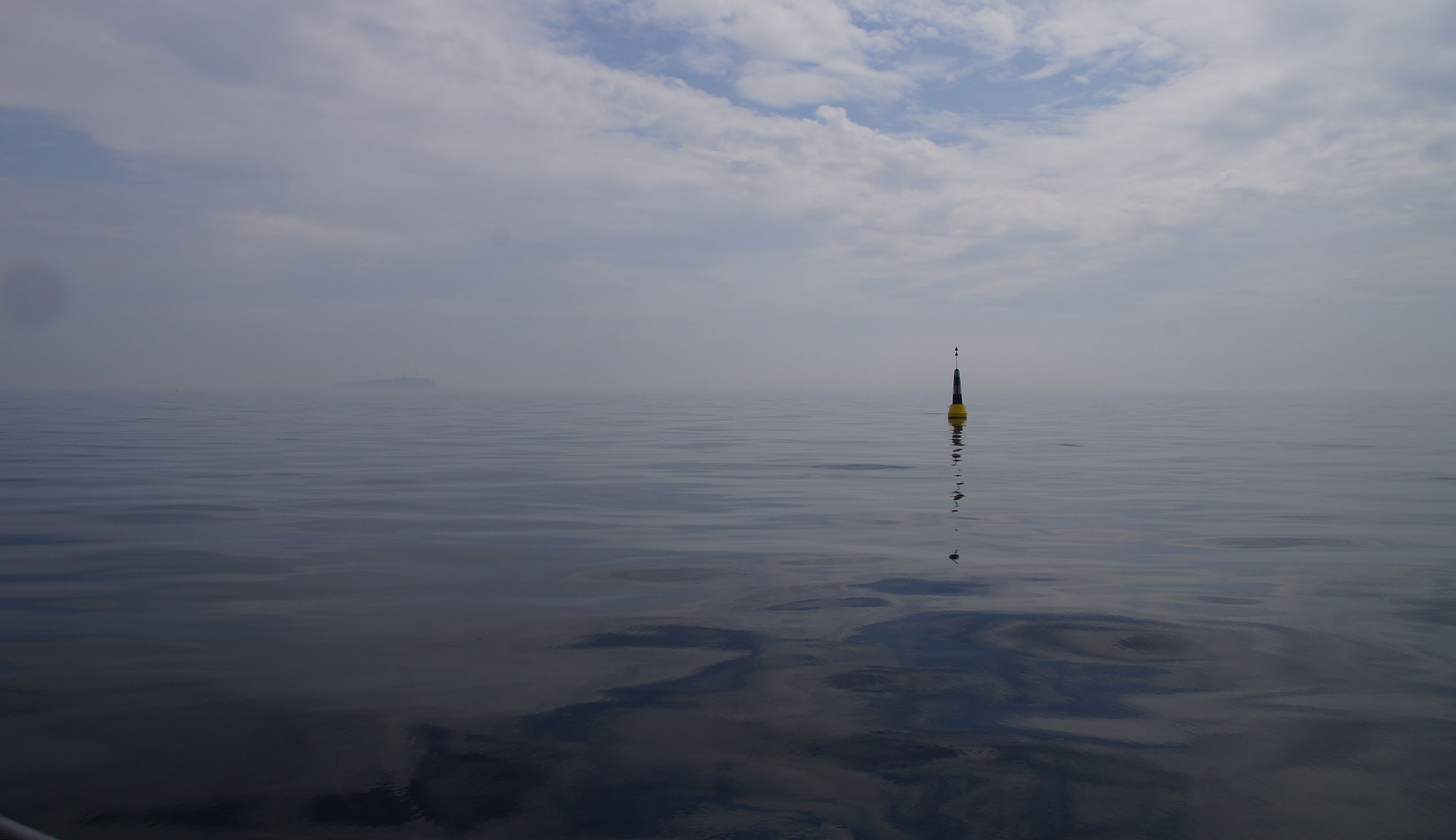 Gebots Chaos In Der Nordsee Wieso Es Keine Gebote Für Windparks Gab - g1uzzcq
